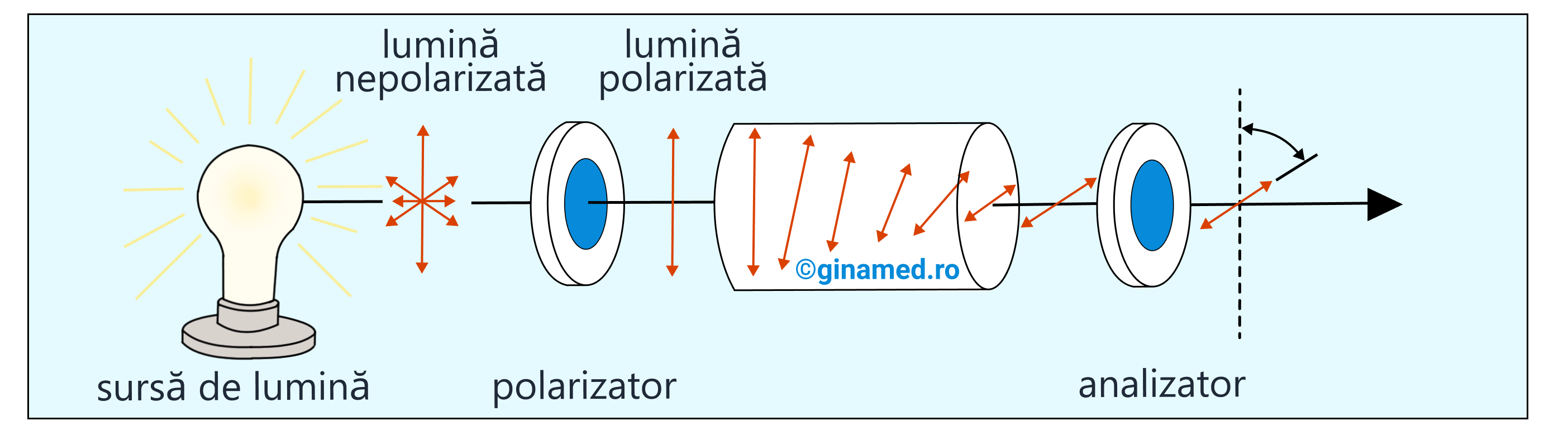 Pentru a pune în evidență experimental activitatea optică, se recurge la un instrument – <b>polarimetru</b>. Acesta are rolul de a măsura unghiul de rotație care apare atunci când lumina polarizată traversează substanțe optic active. Astfel, lumina nepolarizată ce provine de la o sursă de lumină traversează polarimetrul. În interiorul acestuia se află un polarizor care polarizează liniar razele de lumină. Aceste raze vor traversa substanța de analizat optic activă. Cu ajutorul analizorului se poate stabili unghiul de rotație al planului luminii polarizate. 