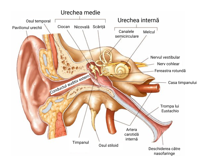 Urechea.