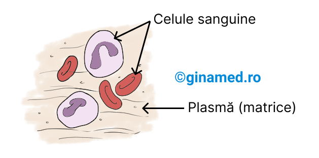 Celule sanguine.