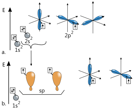  a. Starea fundamentală a atomului de carbon; b. Formarea celor 3 orbitali <i>sp</i> (E - nivelul de energie).